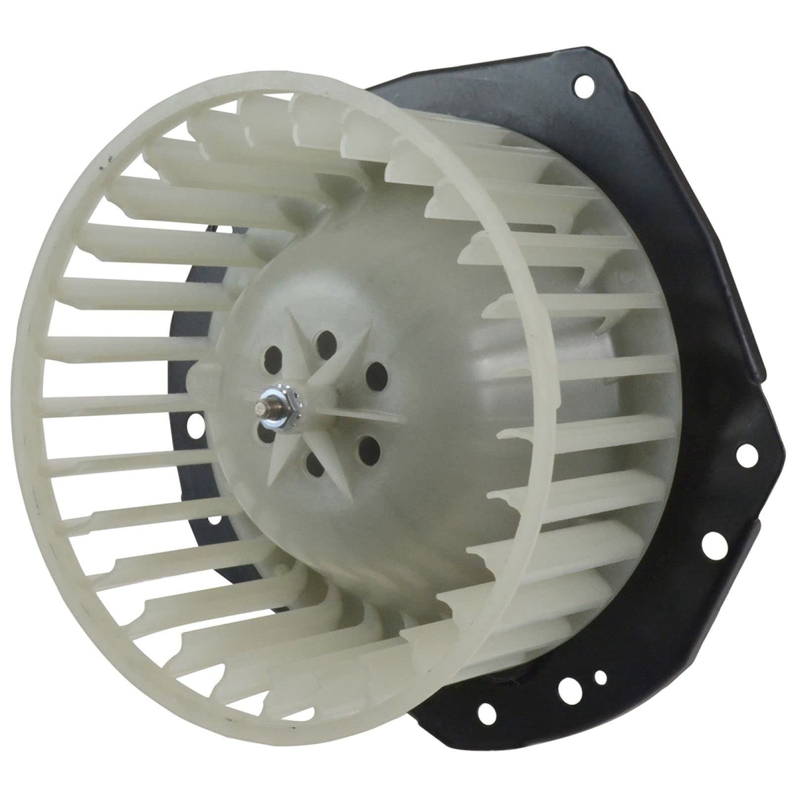 TRQ Heater Blower Motor with Fan Cage Assembly