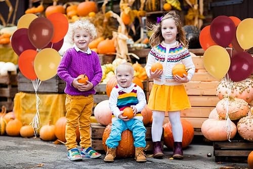 Miniatura 3 de Treasures Gifted Globos de otoño, globos de colores otoñales, globos de color otoño, globos naranjas de 12 pulgadas, globos albaricoque, globos