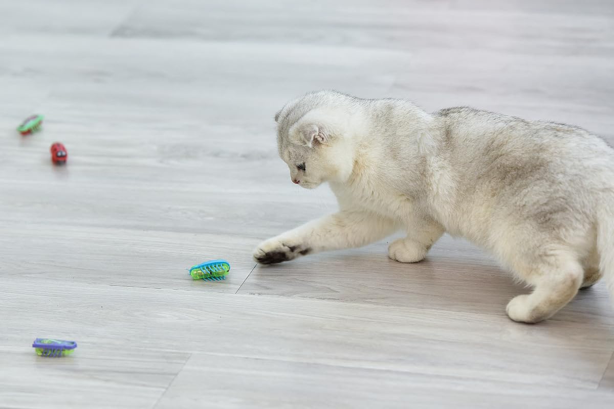 Lot de 2 jouets interactifs pour chat, mini robot électronique coccinelle, jouet éducatif pour chat d'intérieur