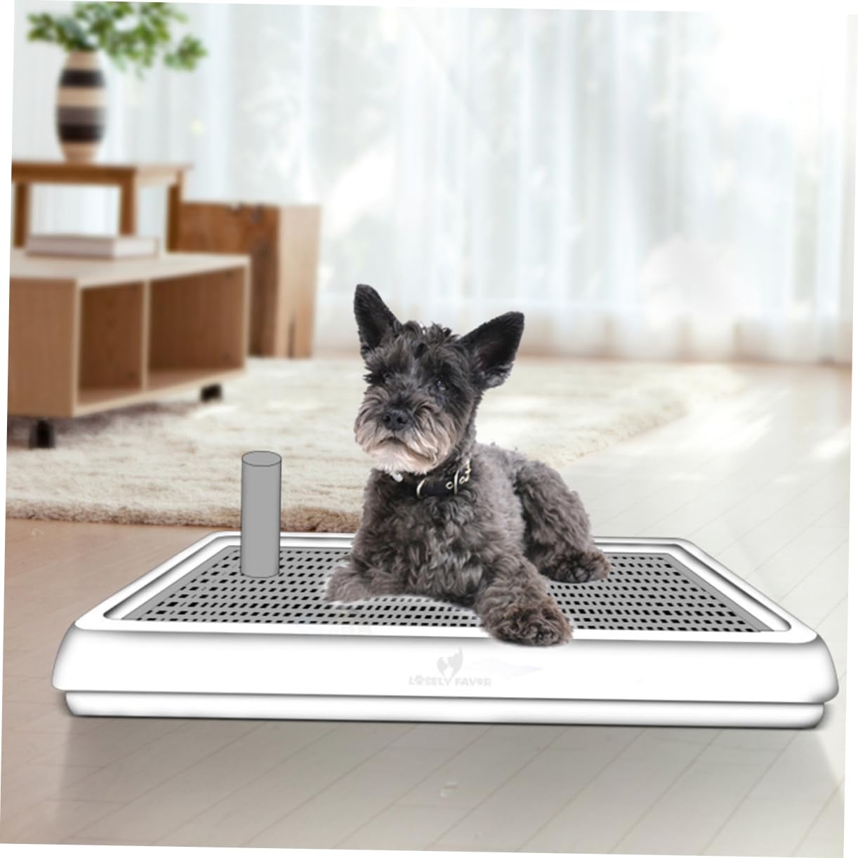 FONDOTIN Chamber Pot for Dogs Dog Toilet Urinal Small Breed Easy to Use for Indoor and