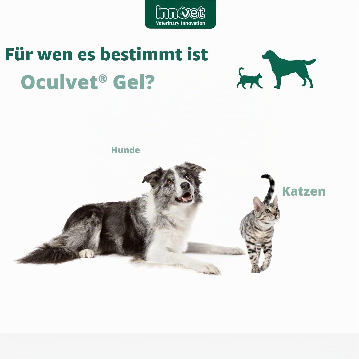 Oculvet Augenpflege für Hunde & Katze, 10 ml Gel zur Reinigung & Pflege