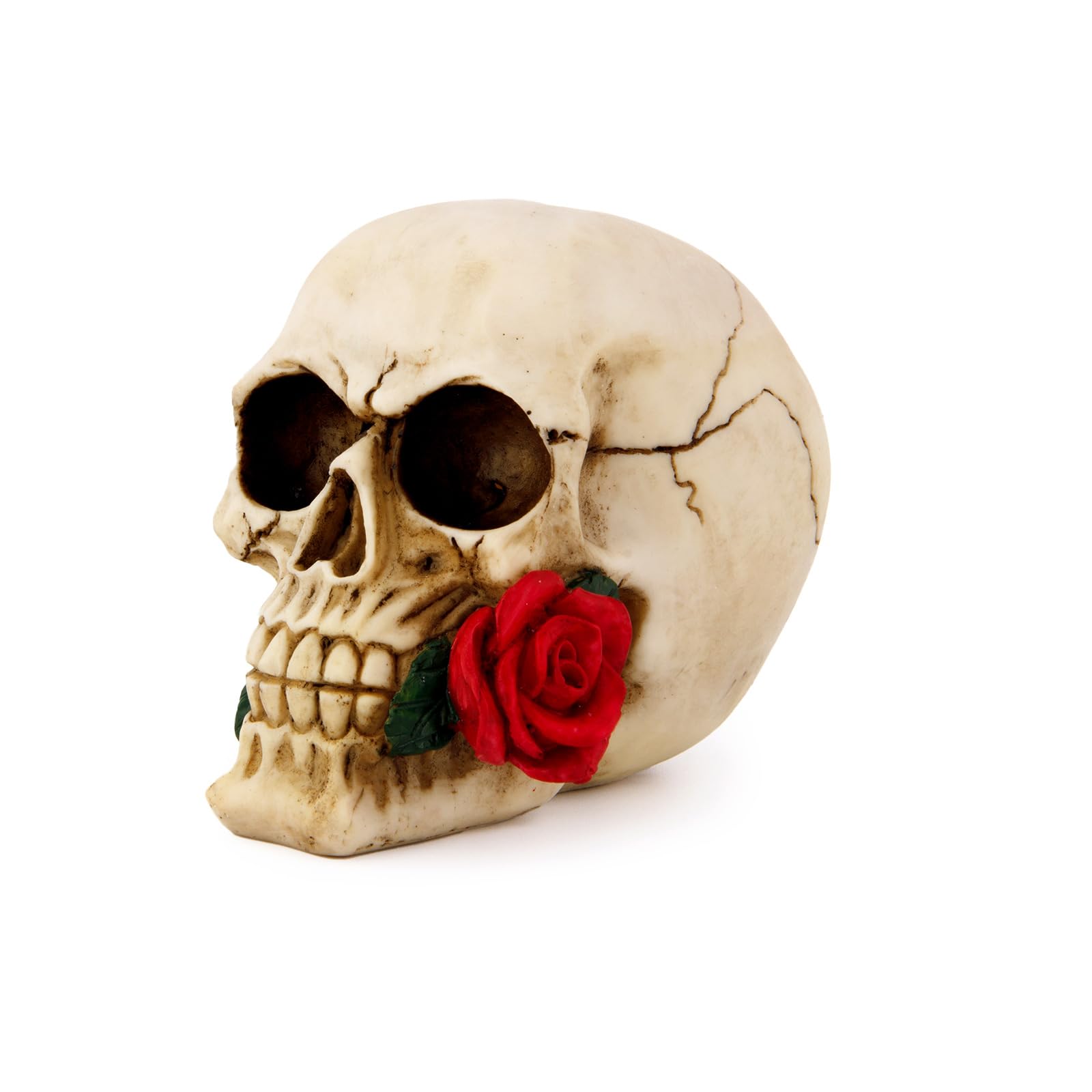 Photo 1 of wynameleri Creative Skull Decor Rose Flowers Skeleton Head Sculpture 8.1'' Human Statue Collectible Halloween Decoration Home Decoration SKL20