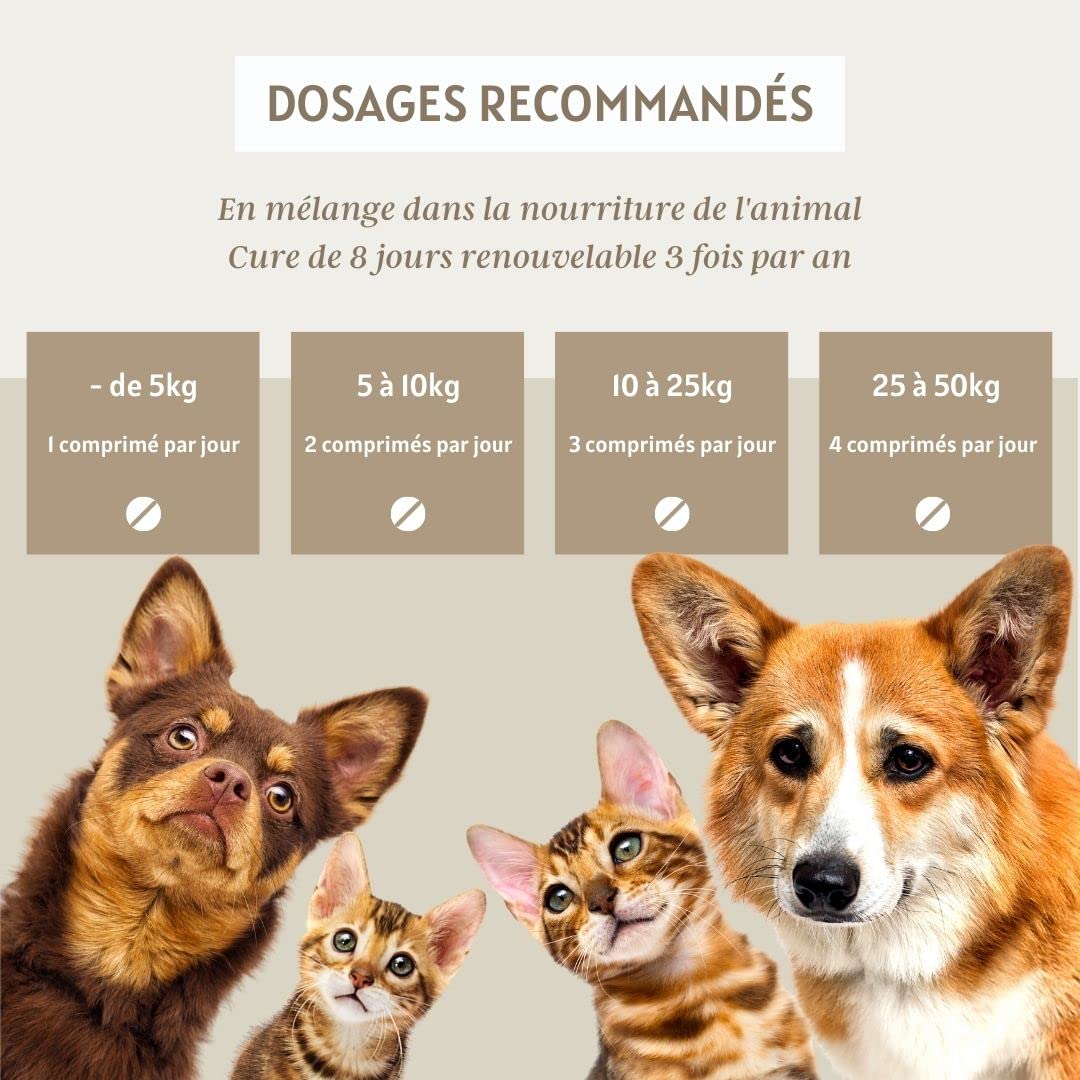 Complexe vers- Vermifuge Naturel pour Animaux (Chien et Chat) 100% Naturel (120 comprmés)