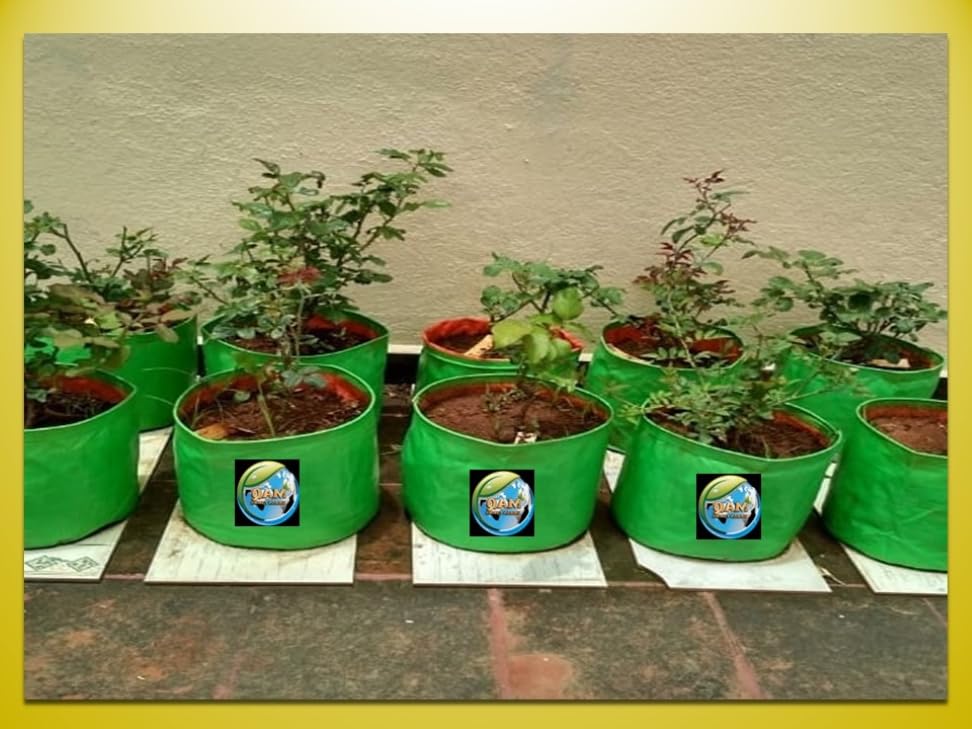 Image of MASHKI 9 inch x 9 inch Garden Green HPDE Growbags, for Home Gardening, Terrace Balcony Gardening Grow Bag (MGB-9X9 1 NOS)