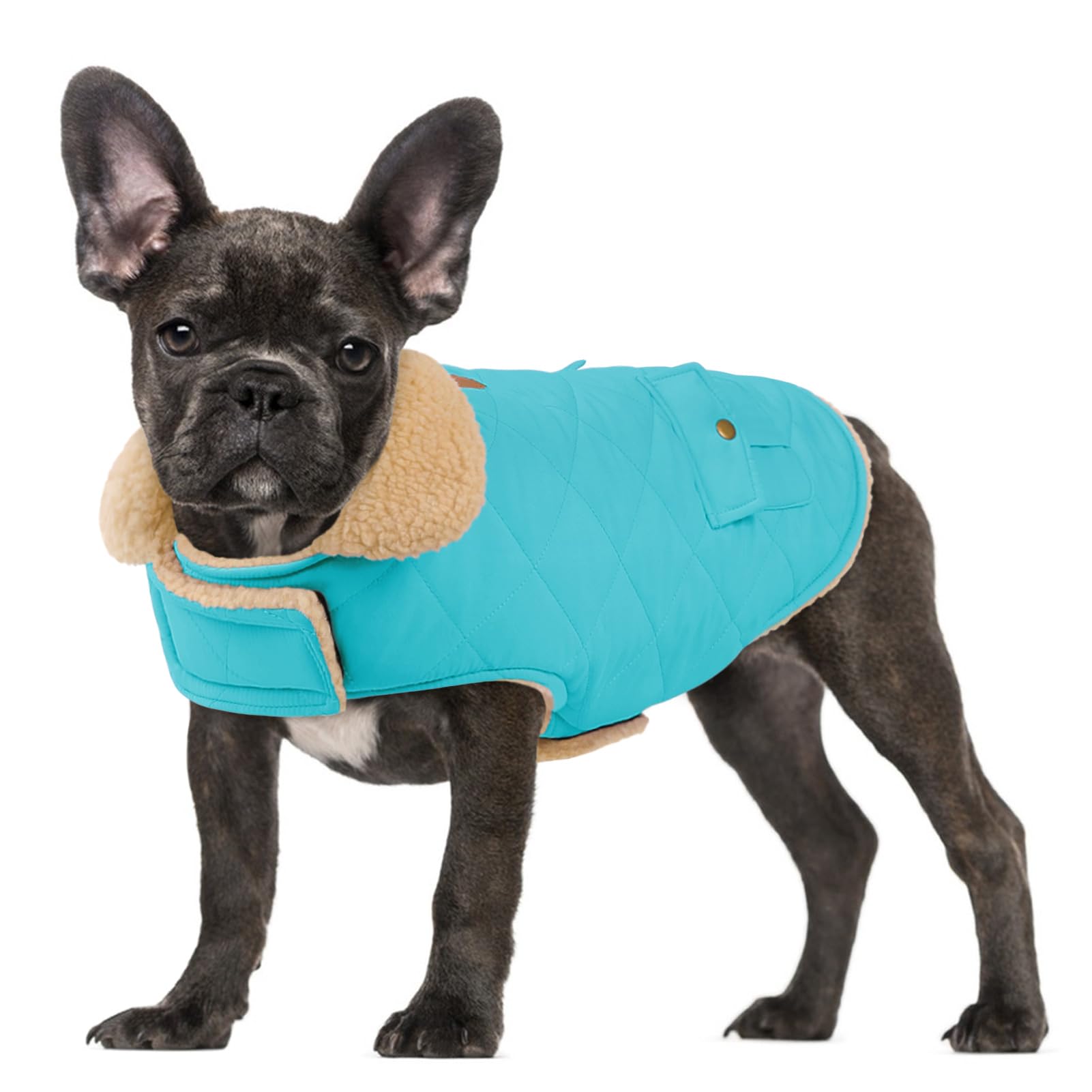 Large Dog Winter Jacket, Pet Warm Windproof Coat Dogs Cold Weather Coats Snow Coat Pets Clothes, Golden Retriever, Labrador Retriever, Husky, Blue L