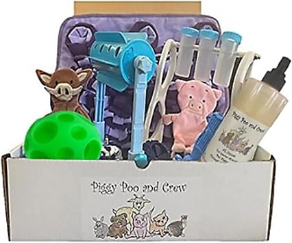 AZ Micro Mini Pigs Pig Box New Pet Owner Includes A Snuffle Mat 2 Games 2 Treat Balls Shampoo Training Bell Chew Stick and Paper Crinkle Squeaker Toys Purple Mat and Blue Games