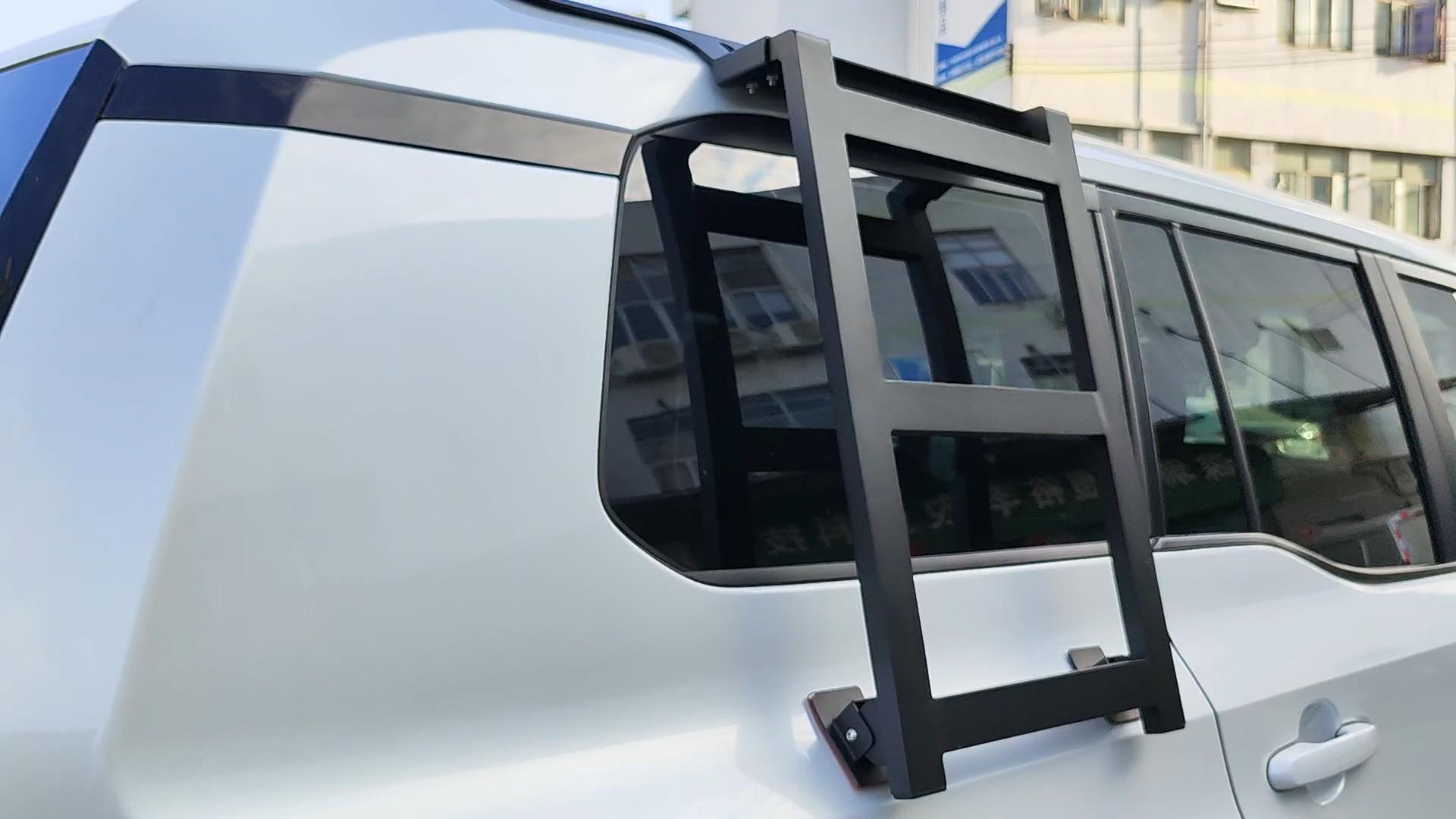 Amazon.com: Side Roof Rack Side Access Ladder Compatible with