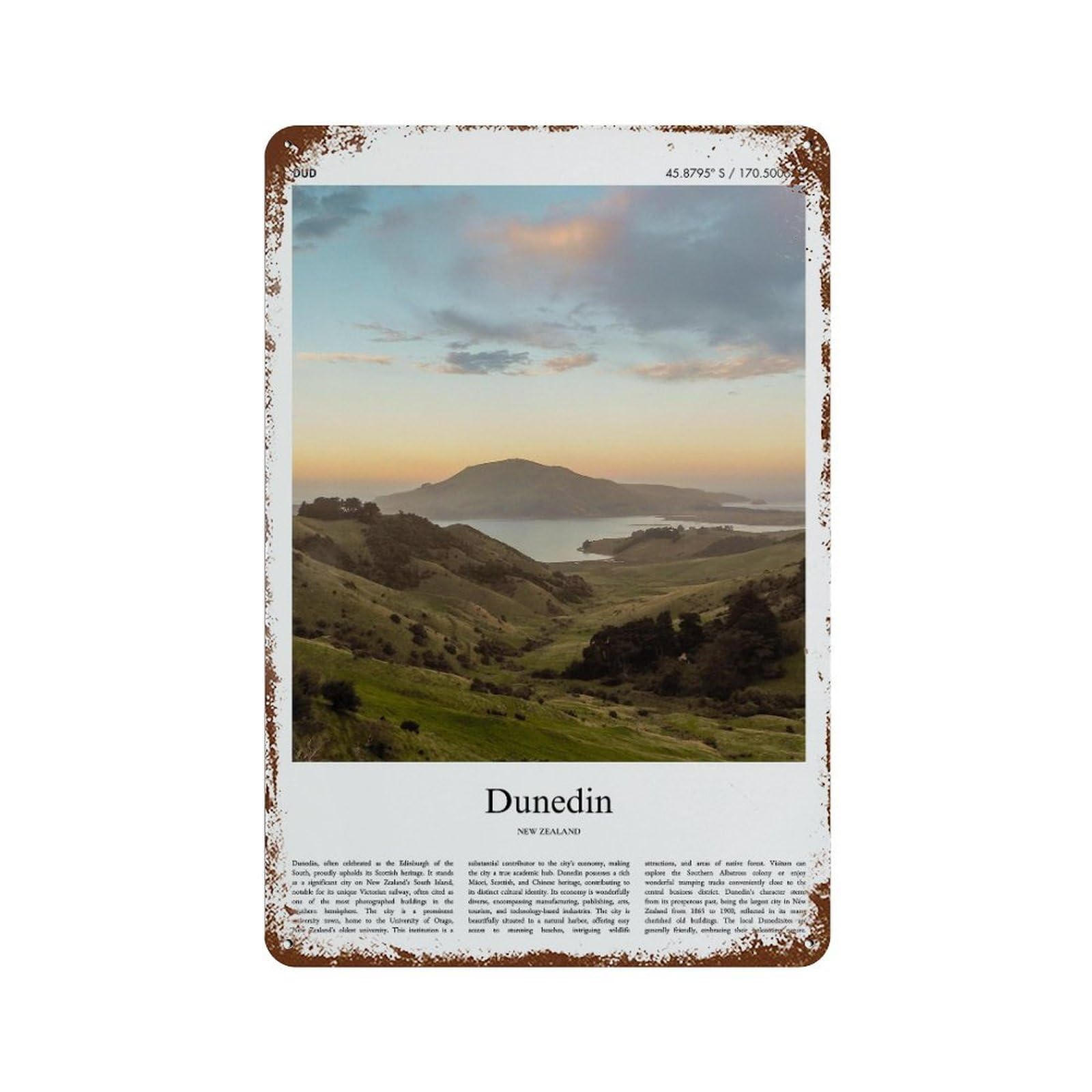 xiaoxiaoshen Dunedin New Zealand City Scenery Wall Decor Art Metal Tin Poster Modern Home Decor Art Home Bar Shop Decorations Vintage Sign 30x20cm