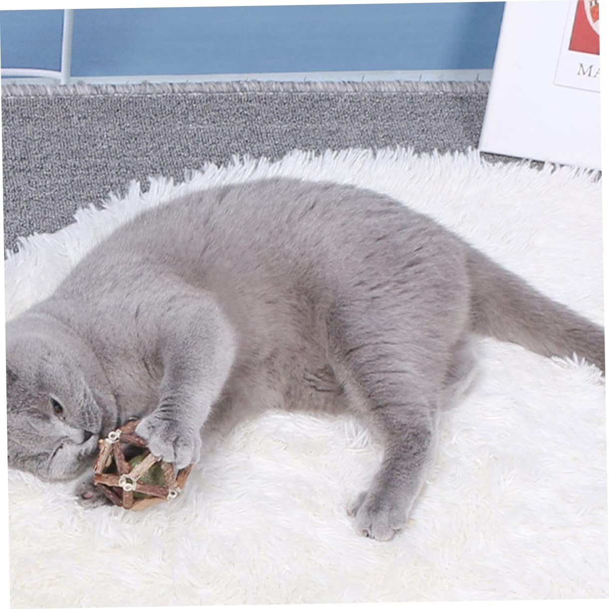 Kisangel 12piezas Juguetes De Molar para Gatos Catnip Bolas De Actinidia Polygama para Limpiar Dientes y Relajar Tu Mascota Juguetes Naturales para Gatos Medianos