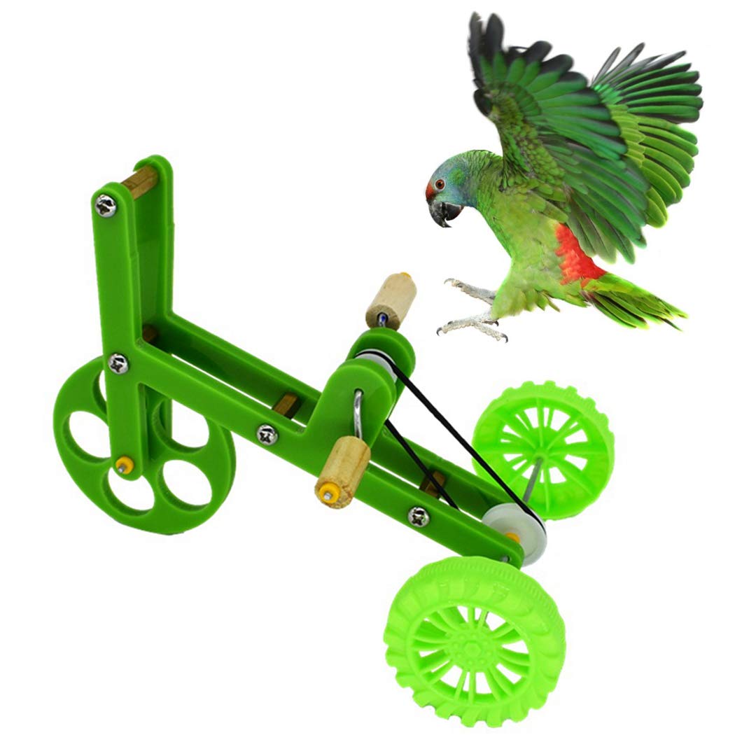 Outgeek Bird Bicycle Toy Educational Bird Intelligence Toy Mini Bike Toy for Parrot Metal Parrot Educational Toys (B08P3BGGZR) Amazon Price History, Amazon Price Tracker