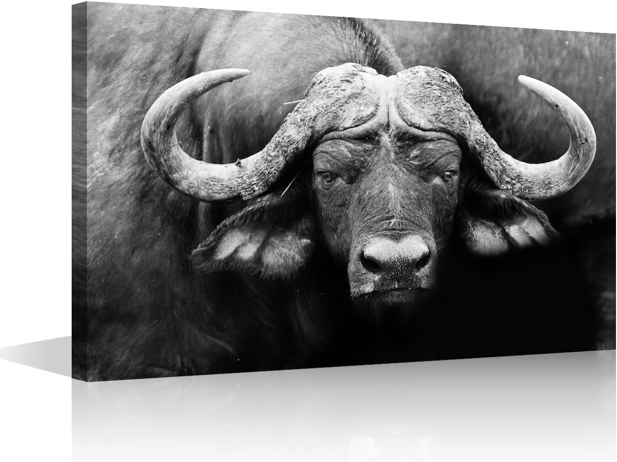 African Cape Buffalo Wall Art for Living Room Animals Wall Decor Photography Framed Wall Painting Black and White Canvas Prints House Decoration for Bedroom Modern Artwork Office Wall Art, 18x12in