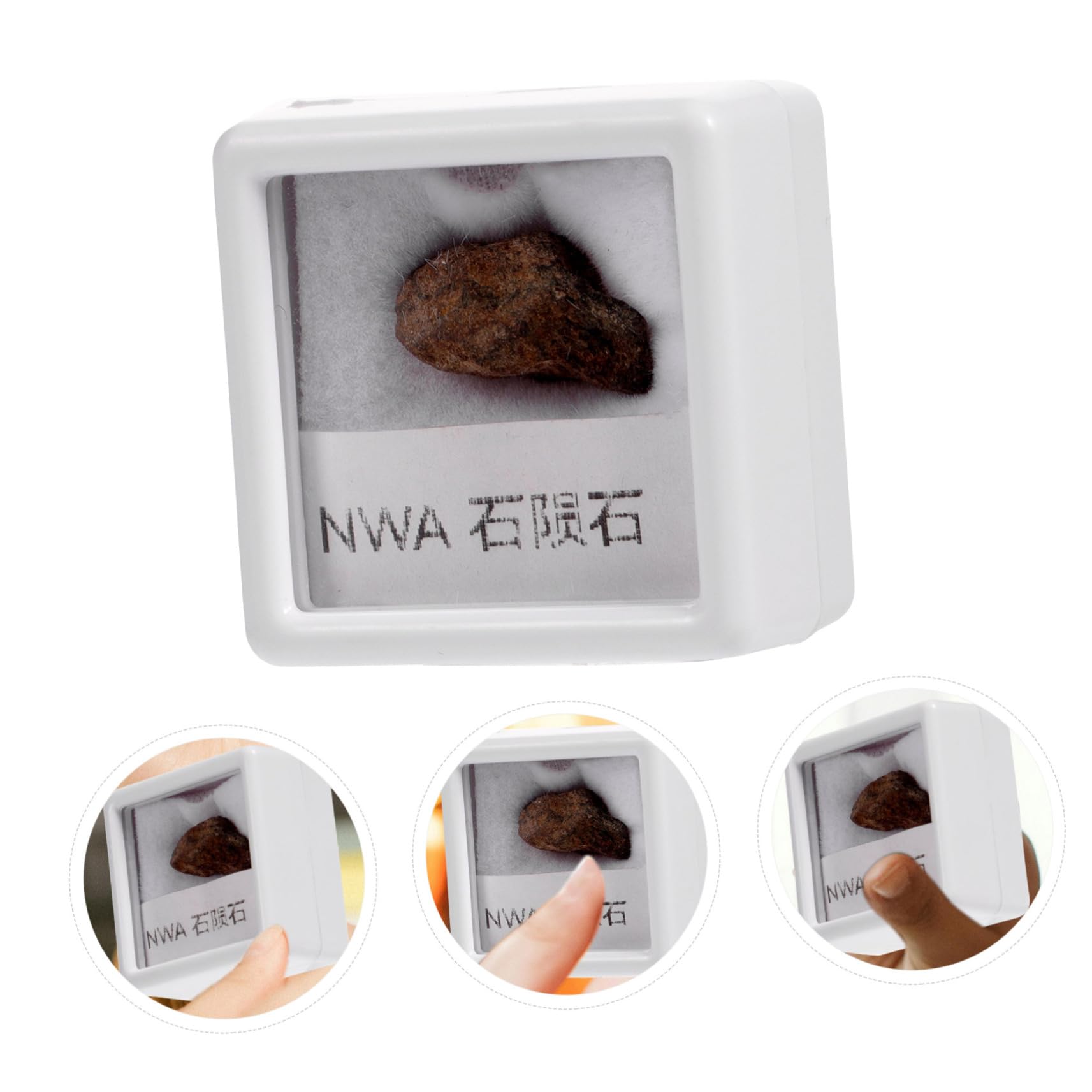 OKUMEYR Meteorite Specimen Meteorite Ornament Classroom Teaching Meteorite Irregular Stone Specimen Olive Meteorite Teaching Tool Meteorite Adornment Meteorite Rock Teaching Stone Specimen