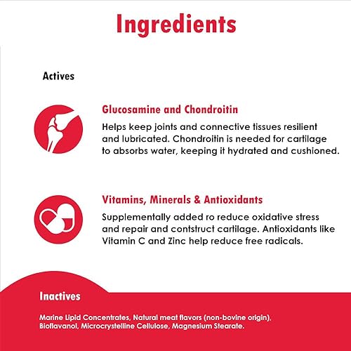 Miniatura 6 de ReMATRIX Suplemento de apoyo articular para perros, glucosamina, condroitina, MSM, omega-3, alivio del dolor de cadera y articulaciones y apoyo para