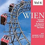 alte geigenbauer  Geigen aus Alt-Wien