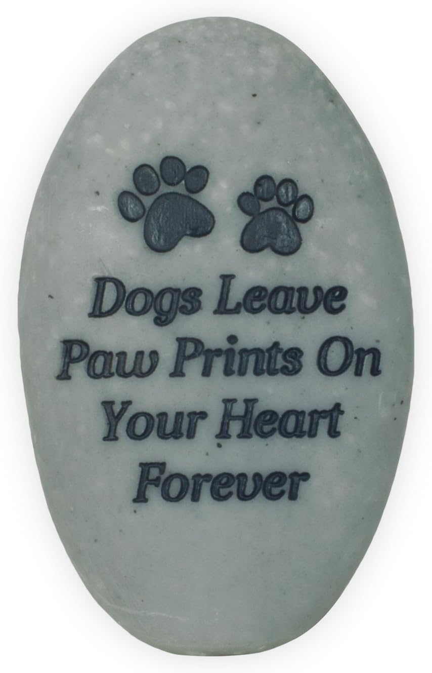 Angelstar Rainbow Bridge Pet Memorial Stone Review: Dog Paw Prints Garden Tribute for Pet-Loving Gardeners