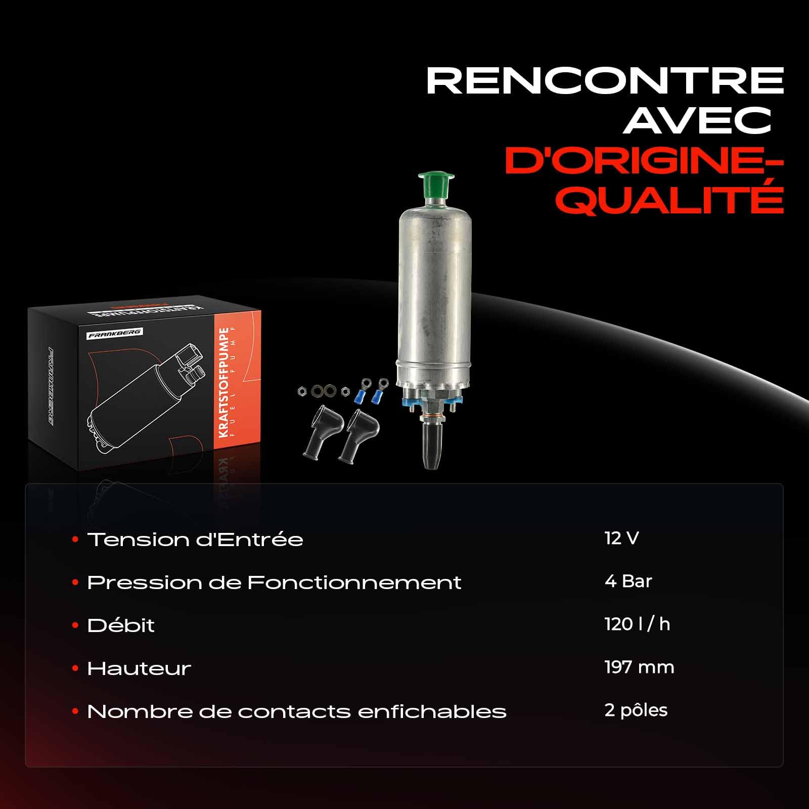 Frankberg Pompe à carburant, pompe à essence, groupe de pompage 0580254911