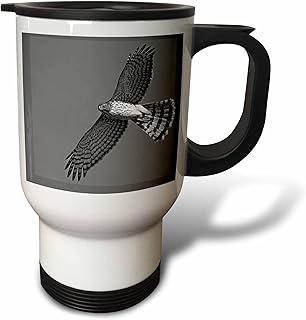 3dRose 14oz Stainless Steel Travel Mug - Photograph of Coopers Hawk in flight in search of its next meal. Stamp City - birds
