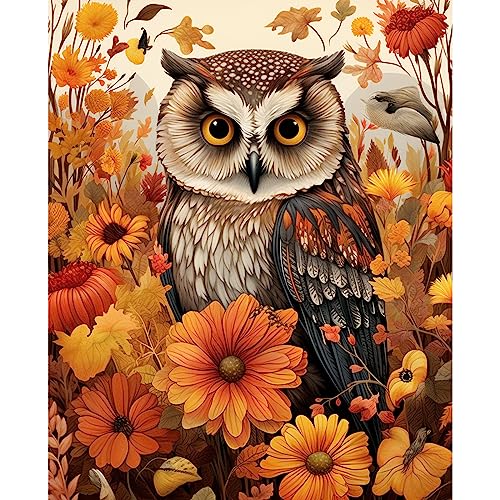 Tucocoo Owl Paint by Number for Adults Beginner,Autumn Forest Painting Kits Canvas Fall Paint by Num