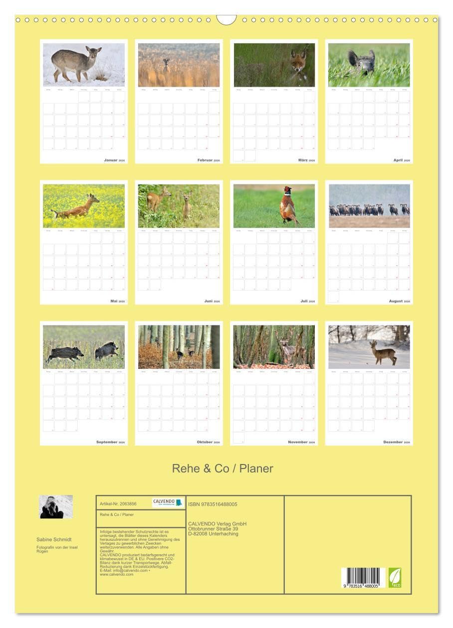 Rehe & Co/Planer (Wandkalender 2026 DIN A2 hoch), CALVENDO Monatskalender: Wildlife Rügen/Deutschland (CALVENDO Tiere)