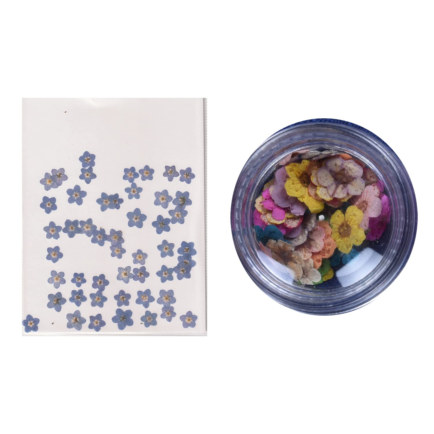 Meraki artencial Store Combo Pack of Forget me Not & Mixed Plum Blosoom Dried Pressed Flowers ,Candle, Jewelry, Nail, Pendant, Dried Flowers for Resin Art Floral Decors