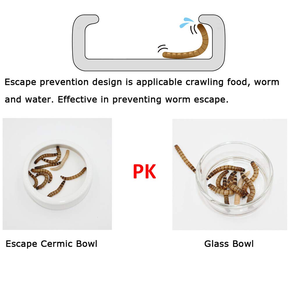 Tfwadmx Reptilien-Wasserschale Mit Dino-Schädel Design – Futter- & Wassernapf Für Echsen, Schlangen & Schildkröten