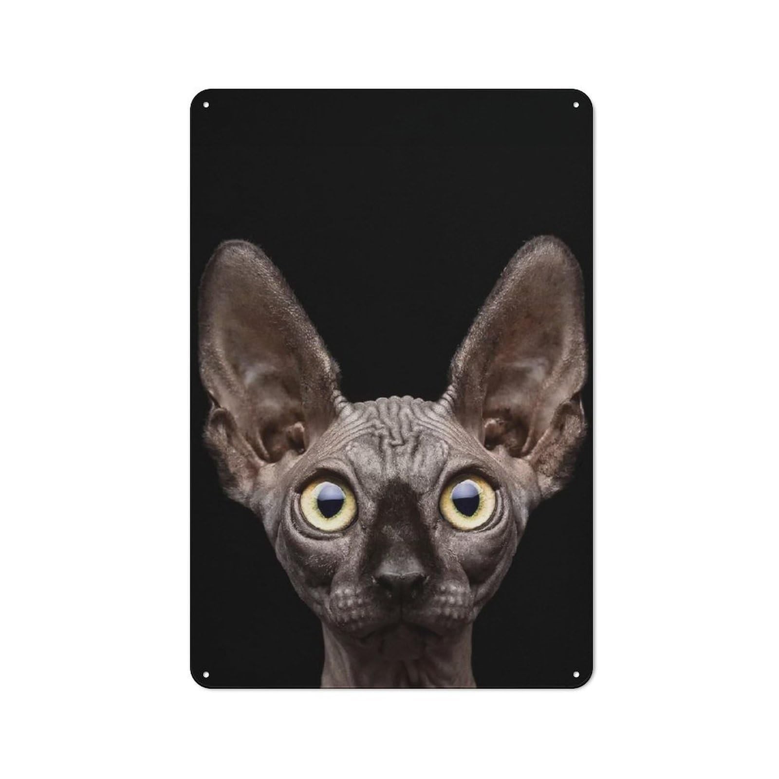 Junmoney Style-12 Cafe Style Decorative Metal Plaque 30X20cm Featuring Cat On Black Background, Bistro Wall Plaque For Tea Room, Shop Wall Or Breakfast Area
