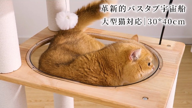 Amazon | なになにLife キャットタワー 木製 据え置き 宇宙船 高さ98cm