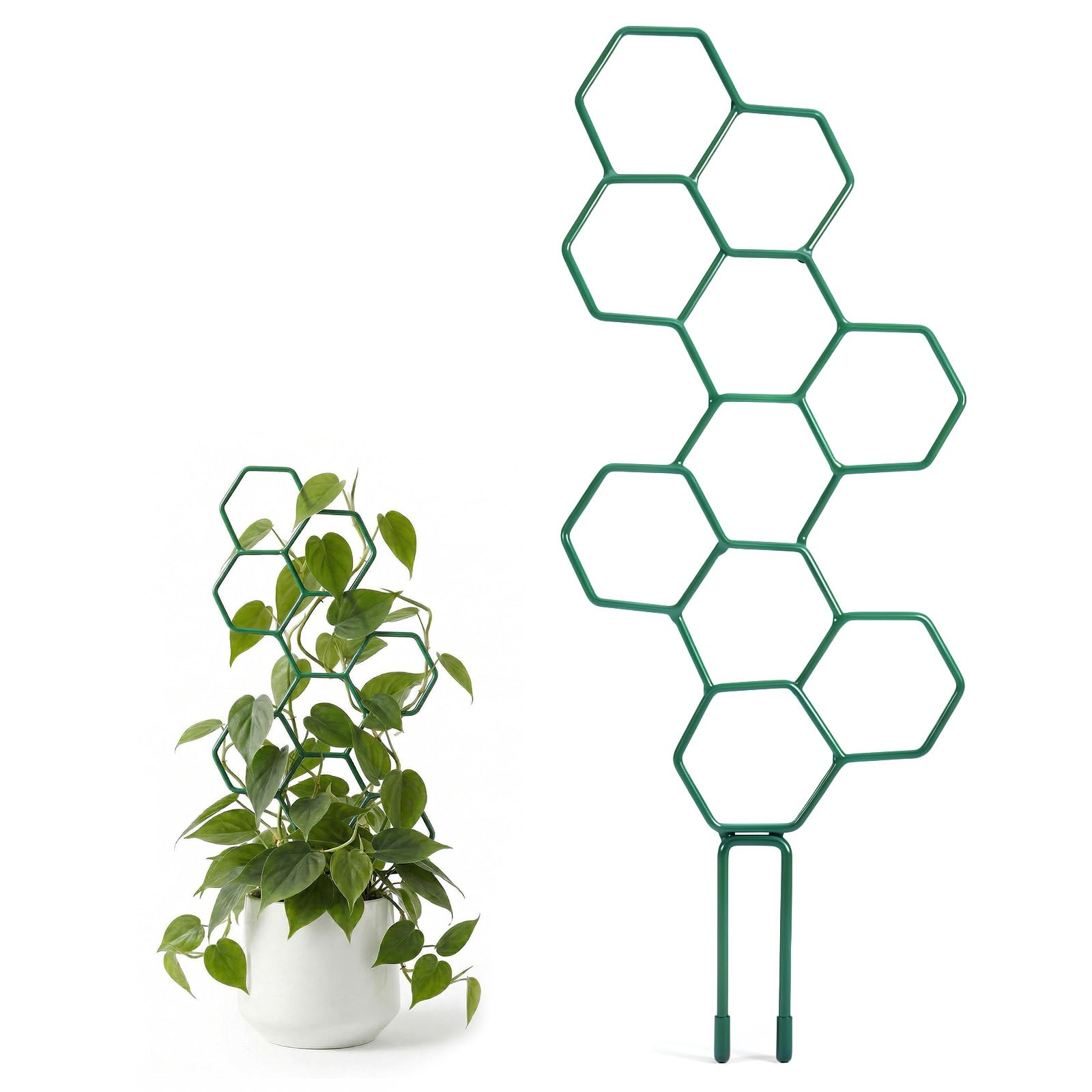 PEOVLVN Small Trellis for Potted Plants, 35cm Trellis for Climbing Plants Indoor Honeycomb Metal Pothos Plant Climber Support for Flower Hoya Pothos Houseplants(Green)