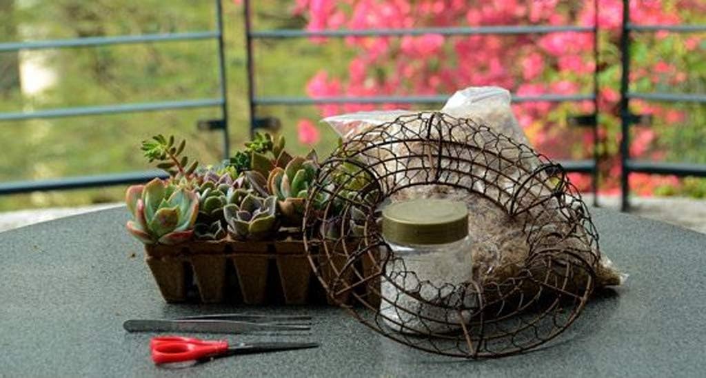 Round Wire Wreath Frame Hanger, Succulent Metal Hanging Plant Holder - Metal Wire Wreath Frame Form Hanger with Hook for Home Garden Decor(NO Plants)