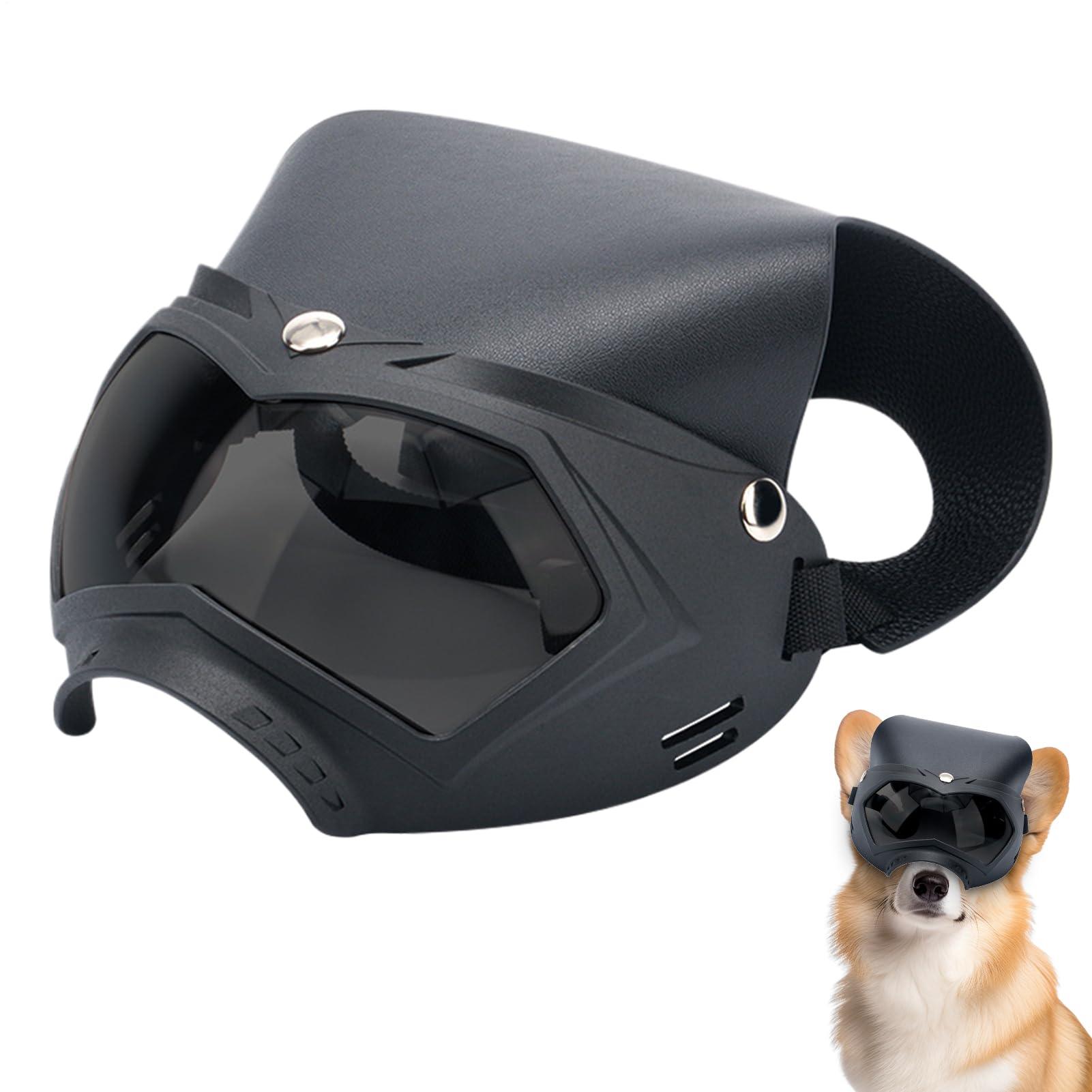 Lunettes de soleil pour chien Teksome pour protéger les yeux en camping et randonnée