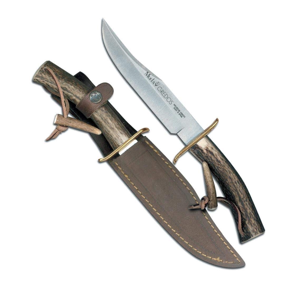 Muela Cuchillo de caza GRED-16 con hoja de acero inoxidable ACX-380 de 16 cm y empuñadura de madera de olivo para Caza, Pesca, Supervivencia y Bushcraft + Portabotellas de regalo