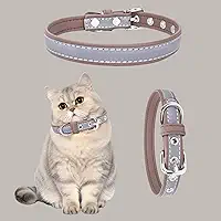 Coleira refletiva para cães - Coleira de couro PU de segurança de alto brilho para PP, pequenos, médios e grandes, cães, filhotes e gatos, marrom - P