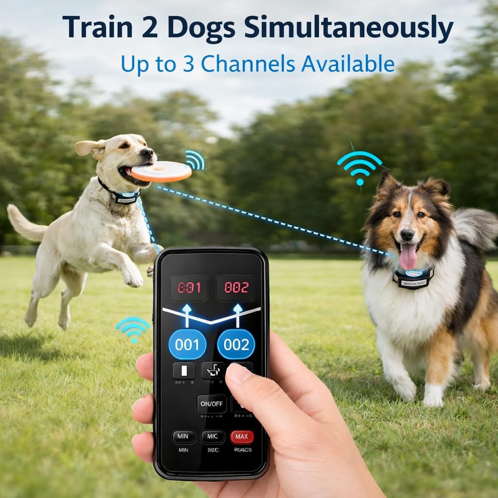 Wireless Dog Fence System for 2 Dogs, Electric Dog Fence with LCD Screen, Adjustable Warning Strength, Range 300 M, Rechargeable Wireless Pet Fence, Dog Perimeter Collar, Invisible Dog Fence