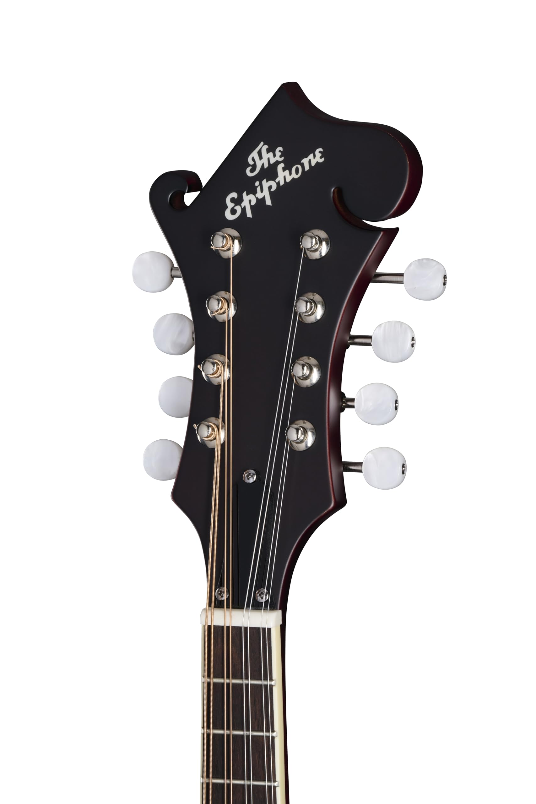 Epiphone マンドリン マカボニー Epiphone MM-40L