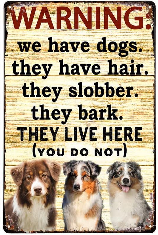 Licpact Warning They Live Here Australian Shepherd Metal