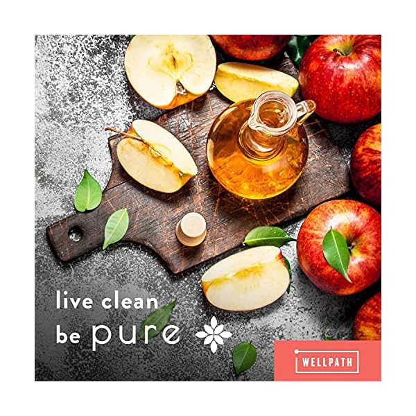 WellPath Pure ACV Apple Cider Vinegar Gummies with The Mother - USDA Organic Gummy - Vegan - Raw Apple Cider Vinegar with Mother Supplements - ACV Gummies - Weight, Digestion & Detox Support - 60 Ct