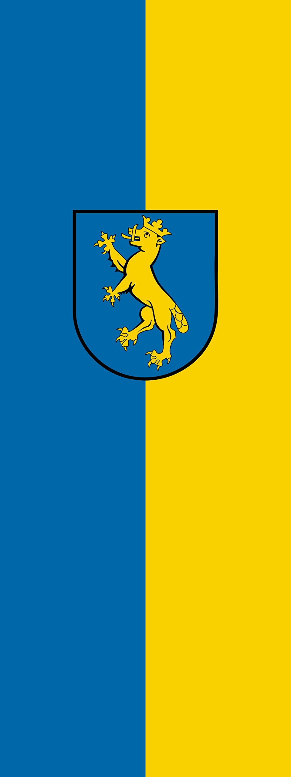 Drapeau Biberach an der Riß de 400x150cm au format portrait vertical de 6m²