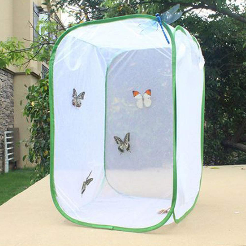 TOPINCN Habitats Papillons Cylindrique Transparent Mesh Habitats Cage Papillons Et Insectes Cage D'observation Cage De Jardinage Insectes Mesh Cage