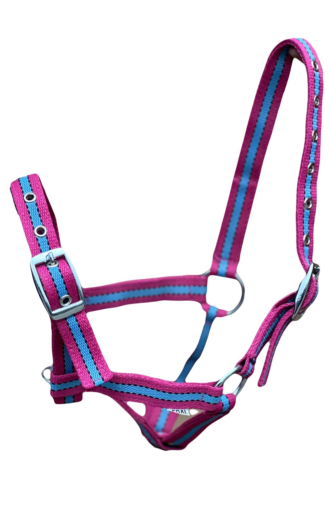 Cavezza per puledro multi adattabile in 10 fantastici colori