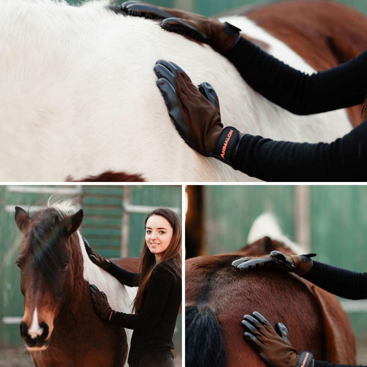 Animalon Fellpflege Handschuh aus Kautschuk (Doppelpack) | innovativer und praktischer Fellwechsel-helfer für Pferde und Hunde | Gummi-Striegel-Handschuh für Pferde besonders im Fellwechsel (M)