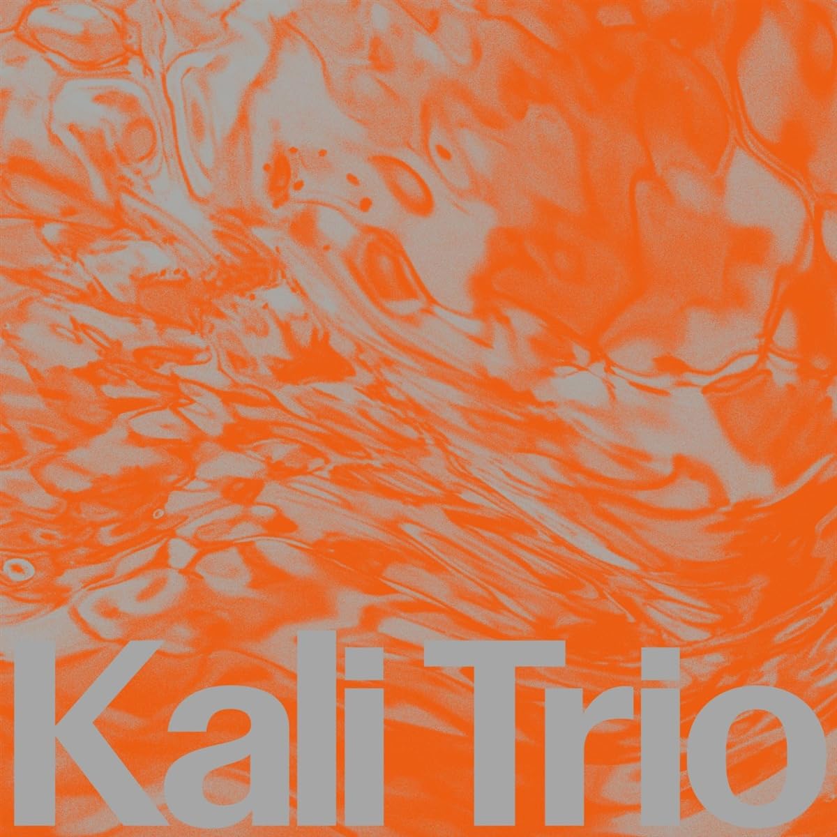 Kali Trio Playful Abstract CD RON043CD NEW