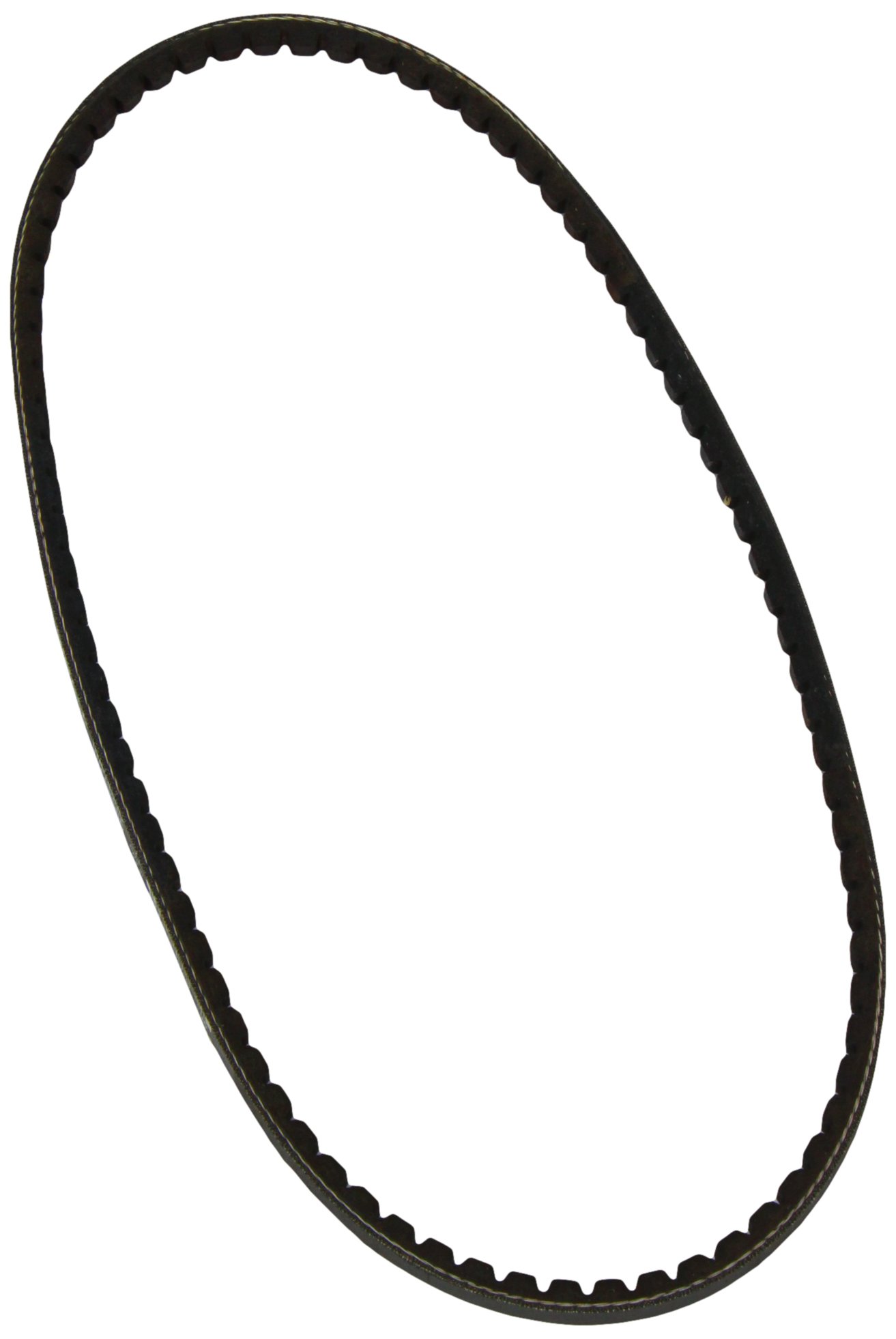 V-belt 10A0850C DAYCO for ALFA ROMEO OPEL AUDI VW CITROËN FIAT VOLVO JAGUAR