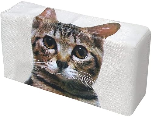 CzE eBbVo! 킢 lR  eBbVP[X X^_[h 3 NGCeBuJ[eBbV{bNXAA[Xg{bNXeBbV{bNXAJ[V[gobNo{bNX (Brown)