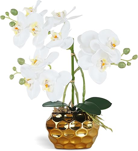 Ziwon Flores y Plantas de Orquídeas Artificiales Plantadas en Maceta de Cerámica, Orquídeas Phalaenopsis Blancas Falsas para Centro de Mesa, Arreglo