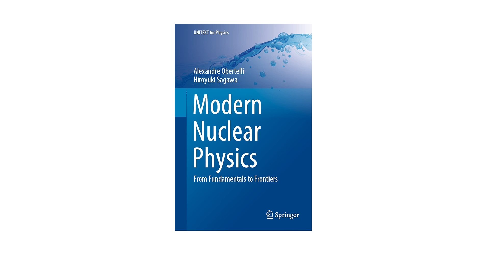 洋書 Topics in Current Physics Top Ten Ideas of Physics | Princeton University Press