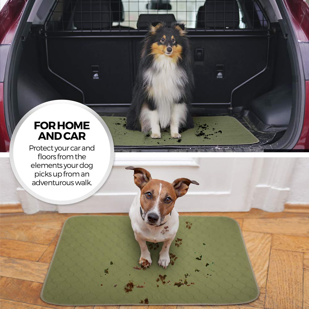 Lot de 2 tapis lavables pour chien - Aide à l'incontinence - Pour chiens âgés et malades - Pour dresser un nouveau chiot - Pour petits animaux - Cochon d'Inde - Doublure de cage -
