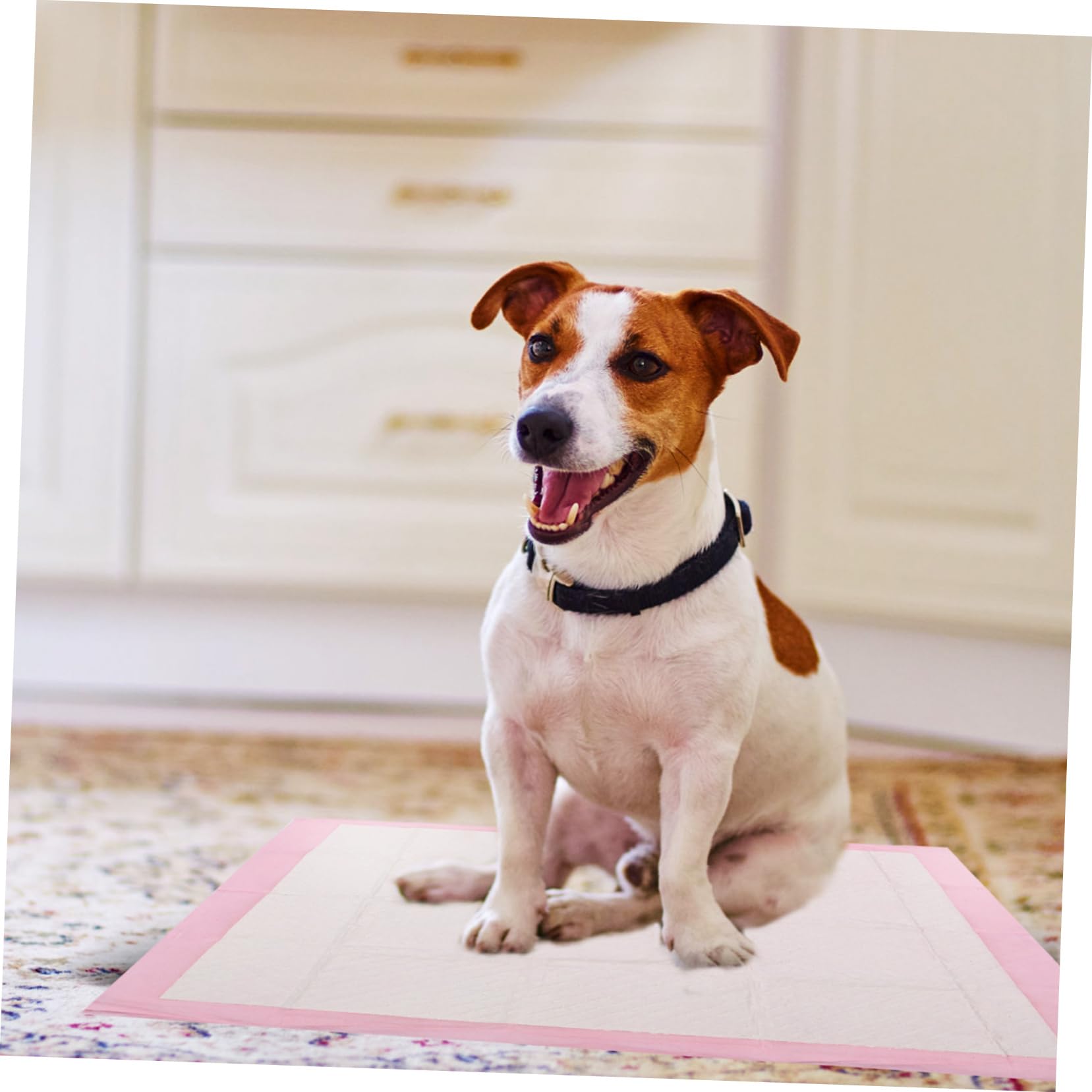 Toddmomy Hundetrainingsunterlage für Welpen 40 Stück Extra Super Saugfähig aus Vliesstoff für Hotelzimmer und Training