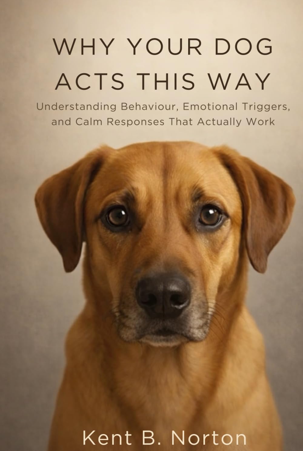 WHY YOUR DOG ACTS THIS WAY: Understanding Behaviour, Emotional Triggers, and Calm Responses That Actually Work