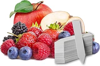 Fruit Combo Pack Raspberry, Apple, Blueberry, Strawberry, BlackBerry 525+ Seeds & 3 Free Plant Markers, red, purple