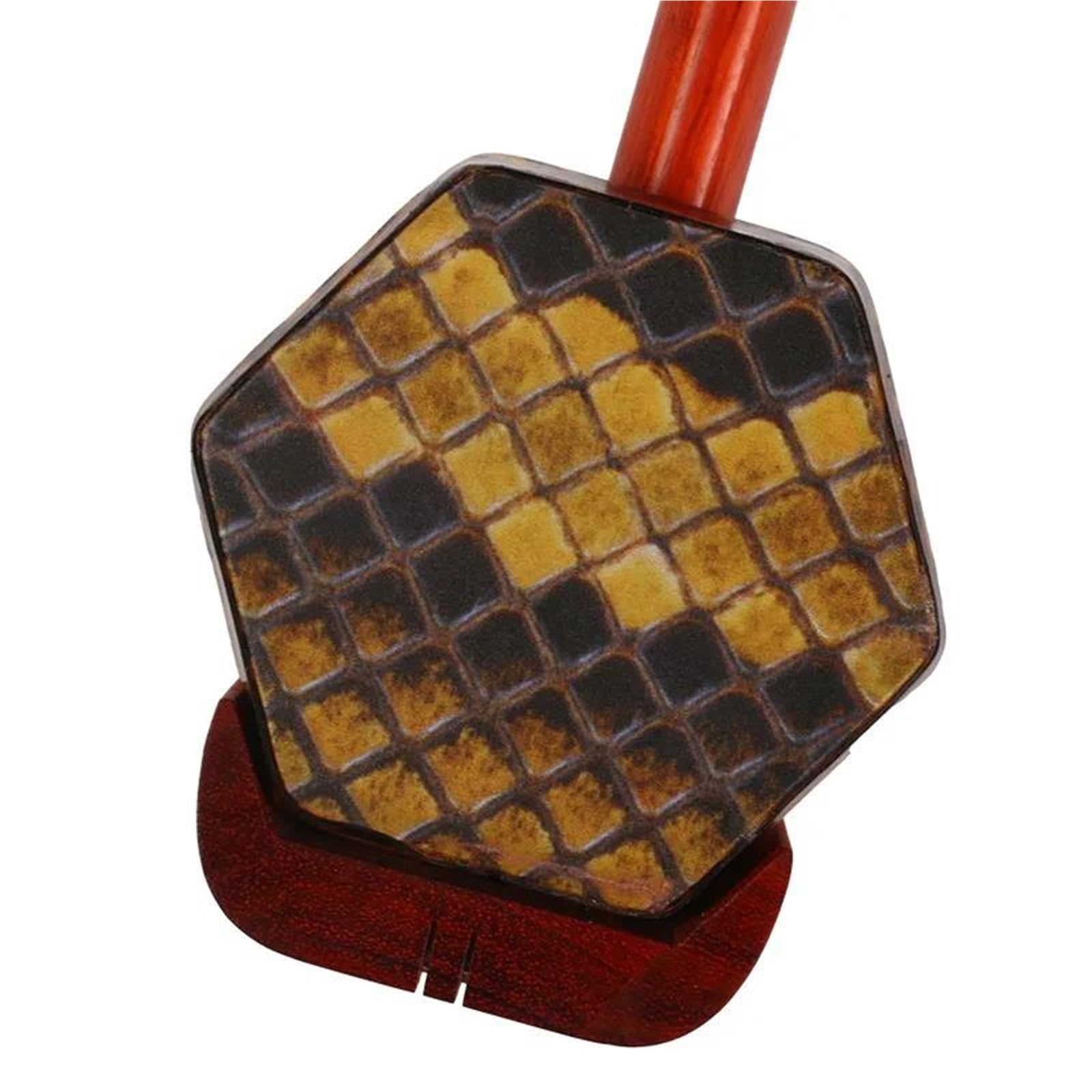 Anfänger Erhu Traditionelle Professionelle Erhu-Folk Darbietung